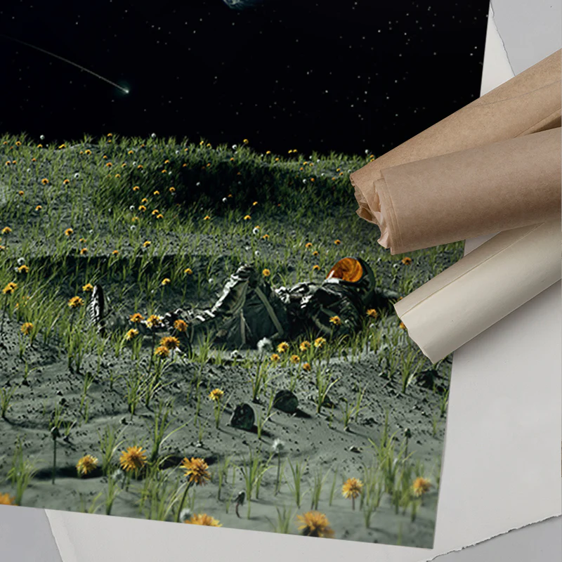 A New Home - Image 6