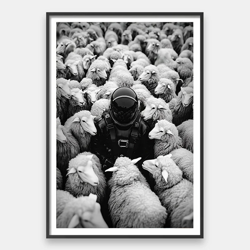 Black Sheep