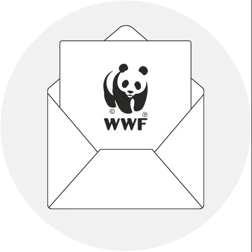 Charity Donation - Image 2