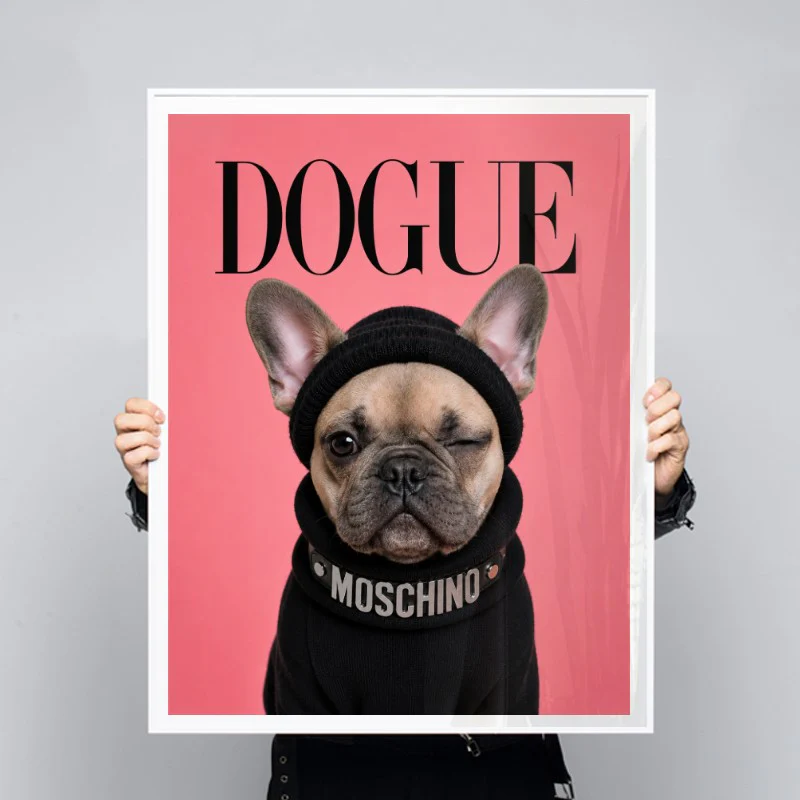 Dogue French Bulldog - Image 3