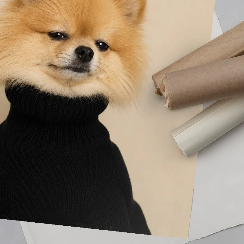 Dogue Pomeranian - Image 6