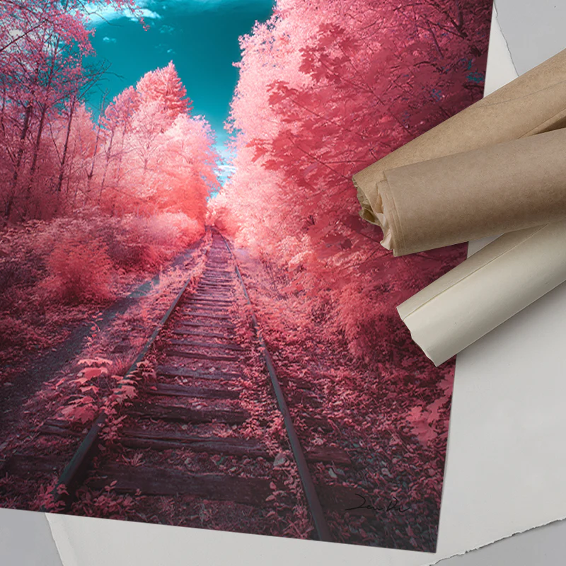 Fairytale Express - Image 6