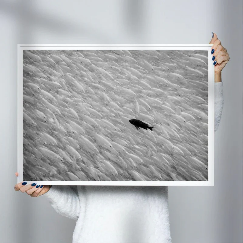 Find Your Own Way - Image 3