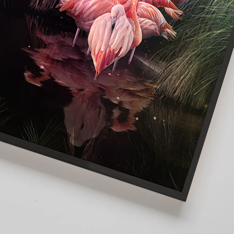 Flovemingo - Image 5