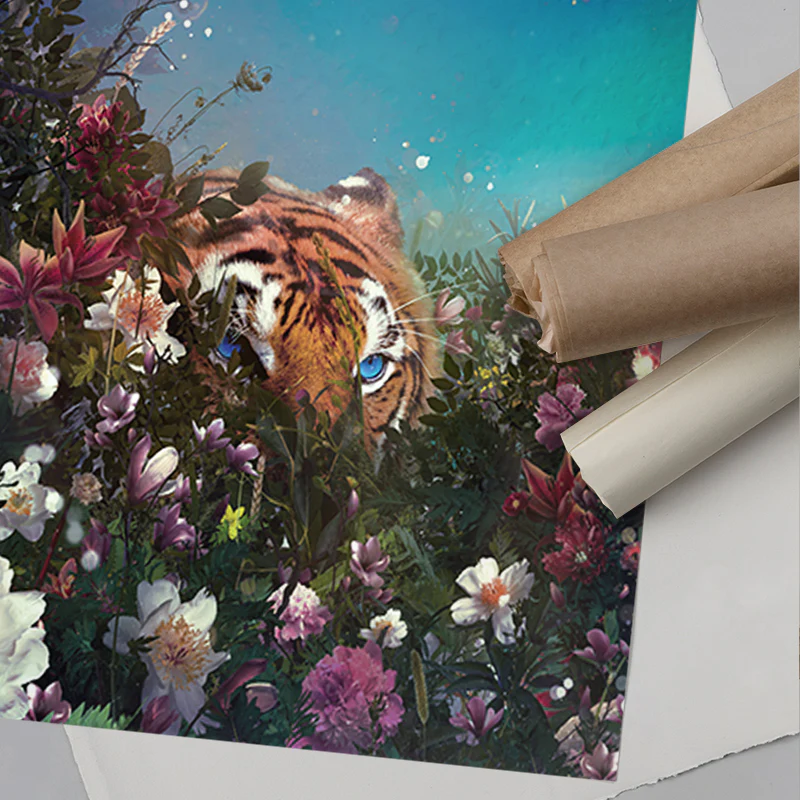 In Hiding - Image 6