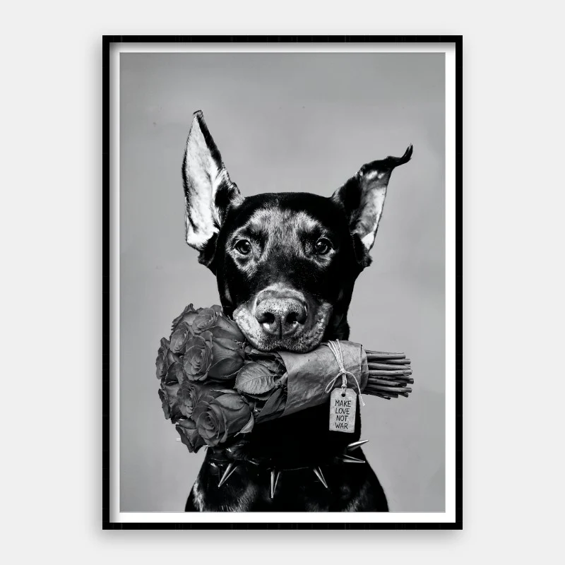 Make Love Not War