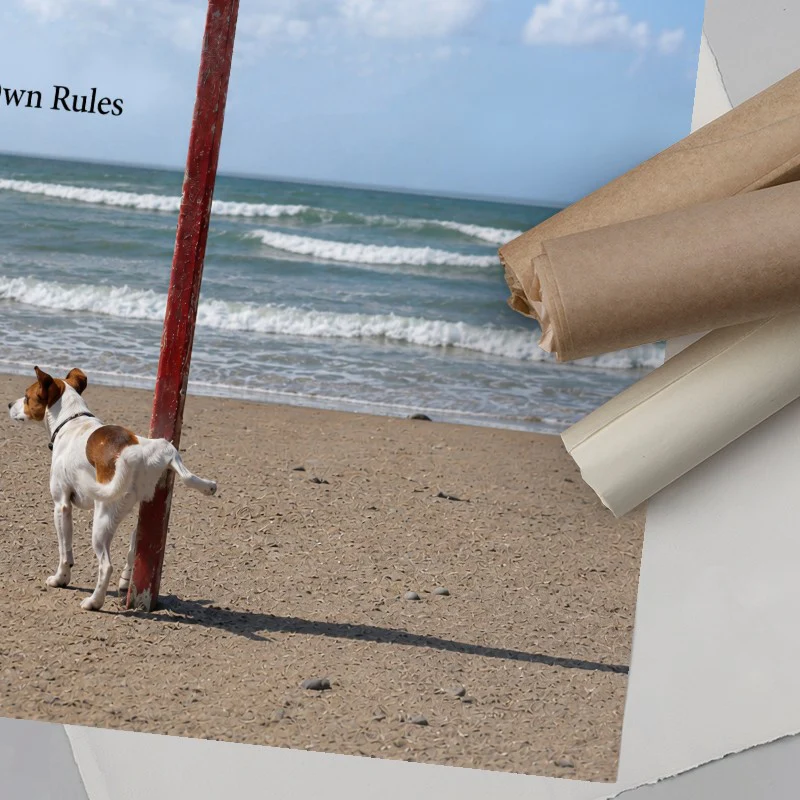 Make Your Own Rules - Image 6