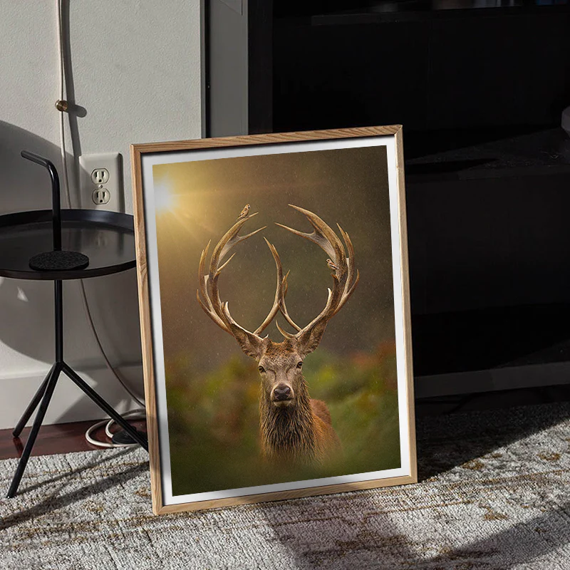 Peace My Deer - Image 2