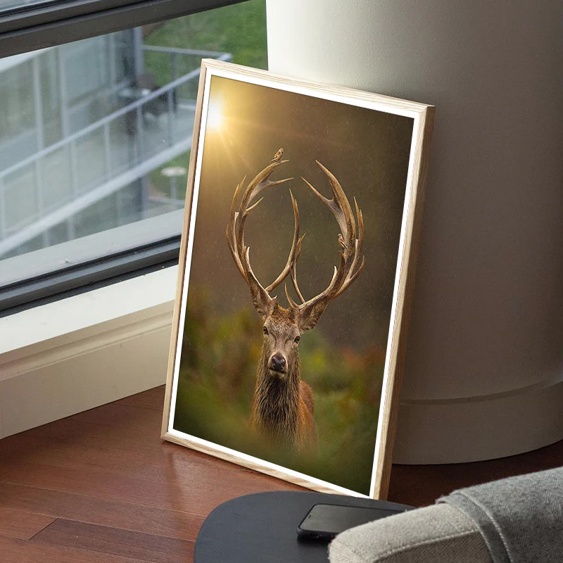 Peace My Deer - Image 5