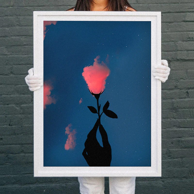 Pink Cloud Rose - Image 3