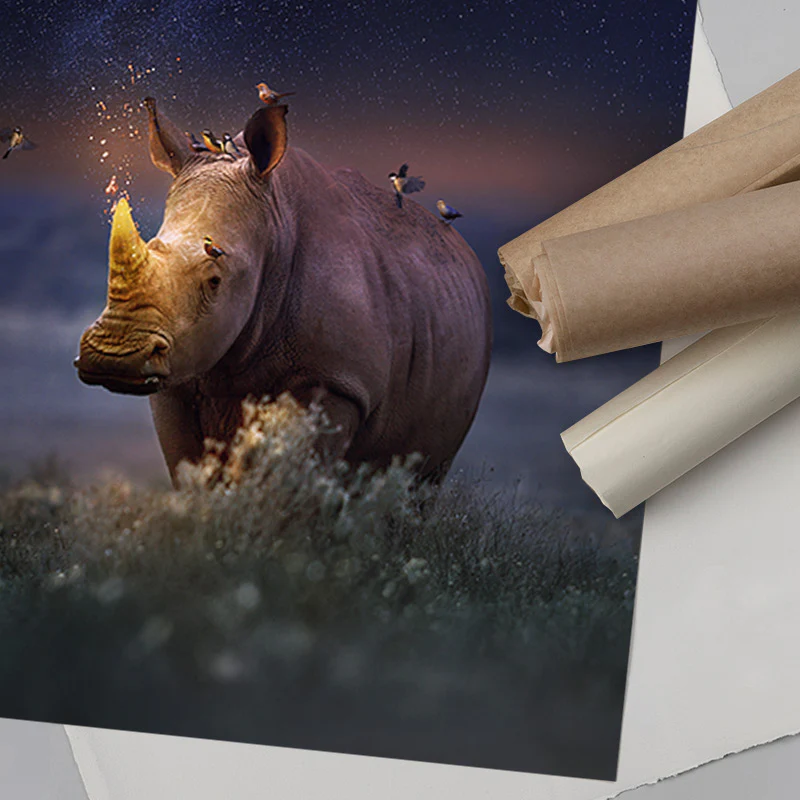Rhinocorn - Image 7