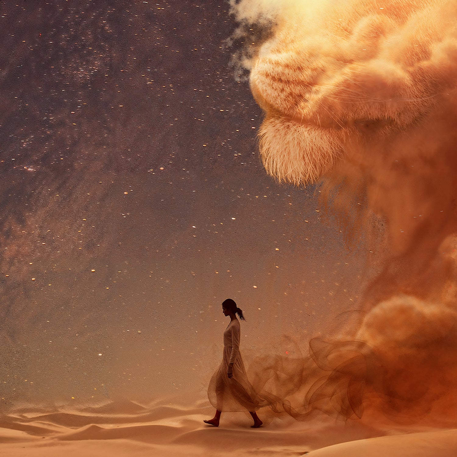 Rising Canvas - Image 4