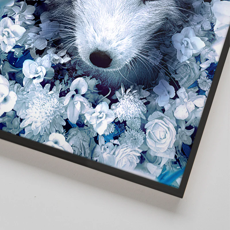 Snow Fox - Image 5