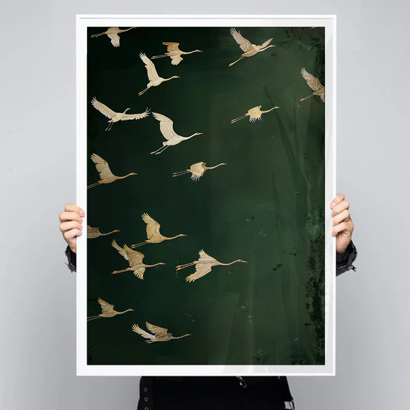 Together We Rise - Image 6